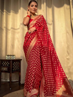 Beautiful Red Color Banarasi Jacquard Weaving Saree